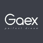 Logo de GAEX