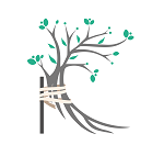 Logo de INSUMOS VELARDI SPA