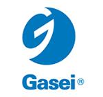 Logo de GASEI S.A.