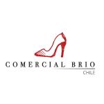 Logo de BRIO CHILE