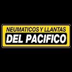 Logo de NEUMATICOS Y LLANTAS DEL PACIFICO