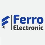 Logo de FERROELECTRONIC SPA