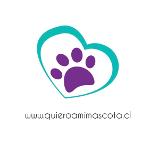 Logo de QUIERO A MI MASCOTA